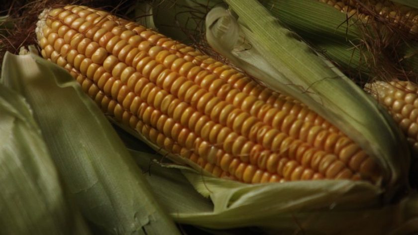 Barbecued Corn on the Cob with Chilli Lime Butter
