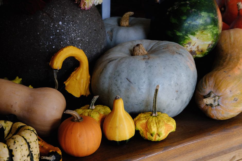 Butternut squash and pumpkins piled on a wooden table