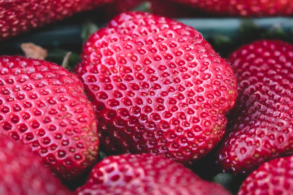 Vibrant close-up of ripe red strawberries, showcasing freshness and organic quality.