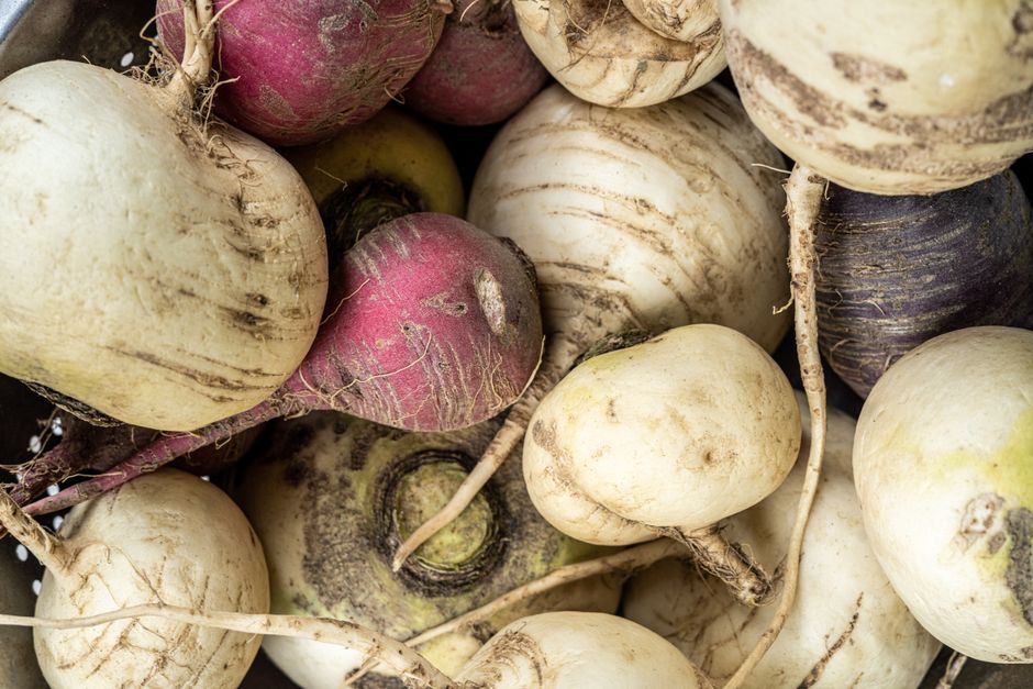 Fresh turnips and root vegetables ready for roasting