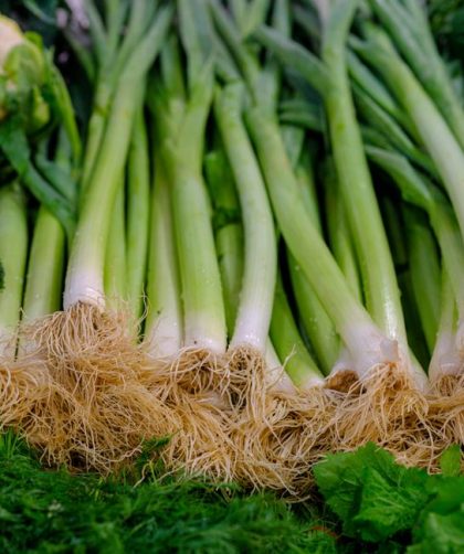 Leek and Potato Soup with Crispy Sage, Made Silky