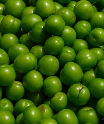 Gooseberry Fool: 7 Steps to a Sharp, Creamy Dessert Gooseberry Fool: 7 Steps to a Sharp, Creamy Dessert