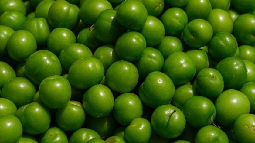 Gooseberry Fool: 7 Steps to a Sharp, Creamy Dessert Gooseberry Fool: 7 Steps to a Sharp, Creamy Dessert