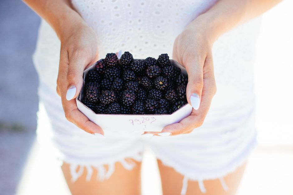 Handful of freshly picked blackberries