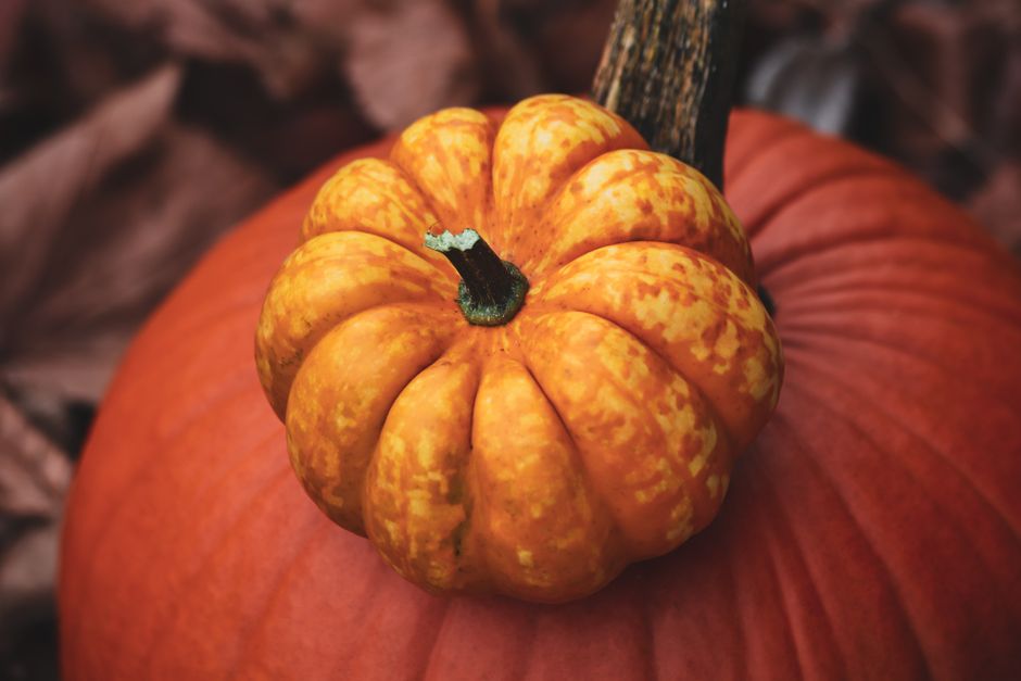 A detailed shot of a vibrant orange pumpkin on fallen leaves, embodying the spirit of autumn.