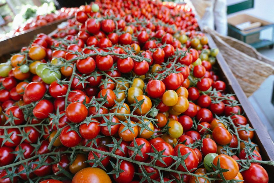 A colorful display of ripe cherry tomatoes at an outdoor market in Manama, Bahrain.