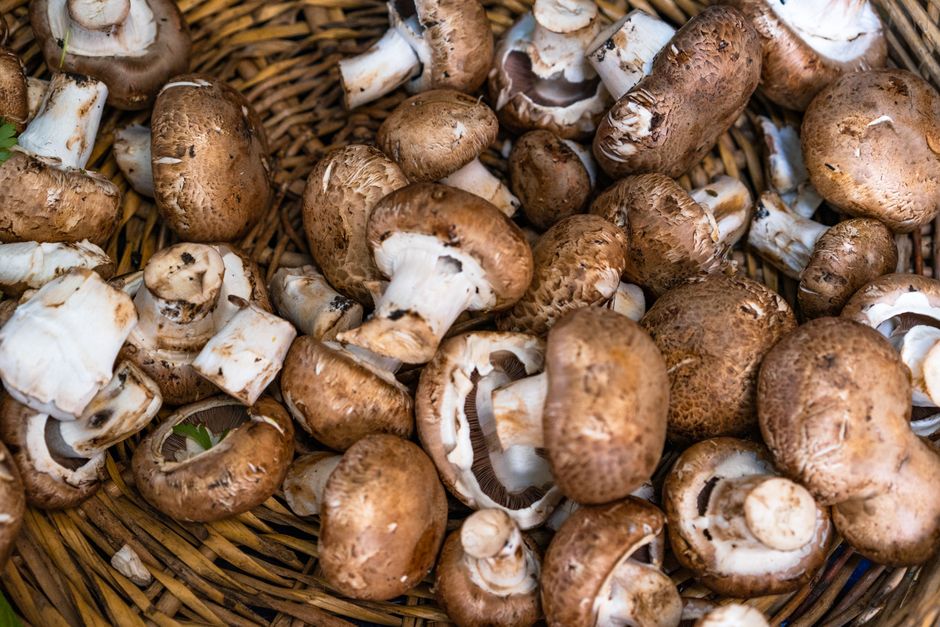 A close-up of fresh brown mushrooms in a woven basket, showcasing earthy textures.